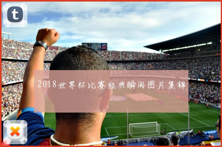 2018世界杯比赛经典瞬间图片集锦