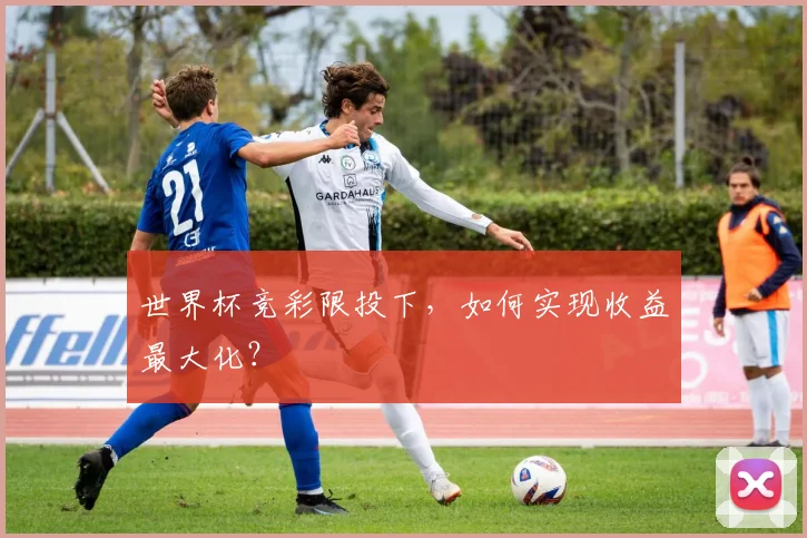 世界杯竞彩限投下，如何实现收益最大化？