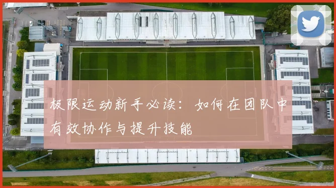 极限运动新手必读：如何在团队中有效协作与提升技能