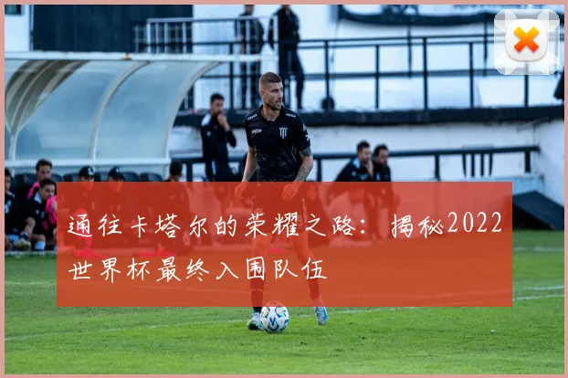 通往卡塔尔的荣耀之路：揭秘2022世界杯最终入围队伍