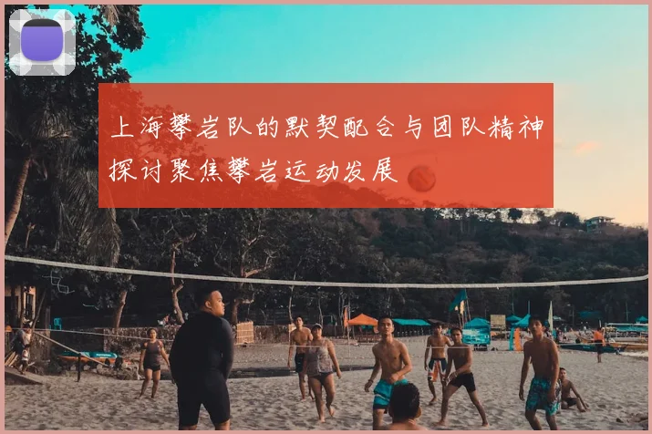 上海攀岩队的默契配合与团队精神探讨聚焦攀岩运动发展