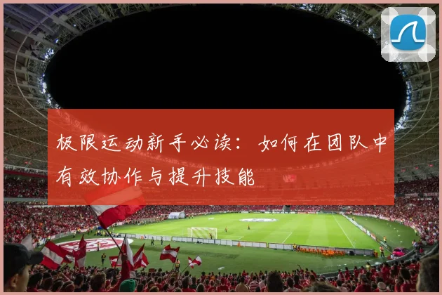 极限运动新手必读：如何在团队中有效协作与提升技能