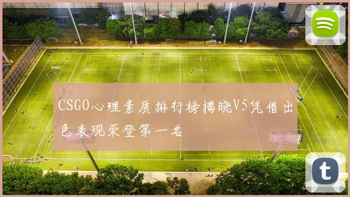 CSGO心理素质排行榜揭晓V5凭借出色表现荣登第一名