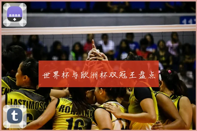 世界杯与欧洲杯双冠王盘点