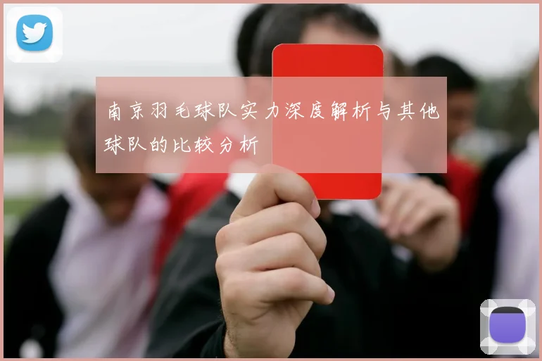 南京羽毛球队实力深度解析与其他球队的比较分析